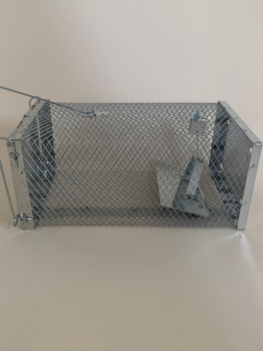 Mouse Trap