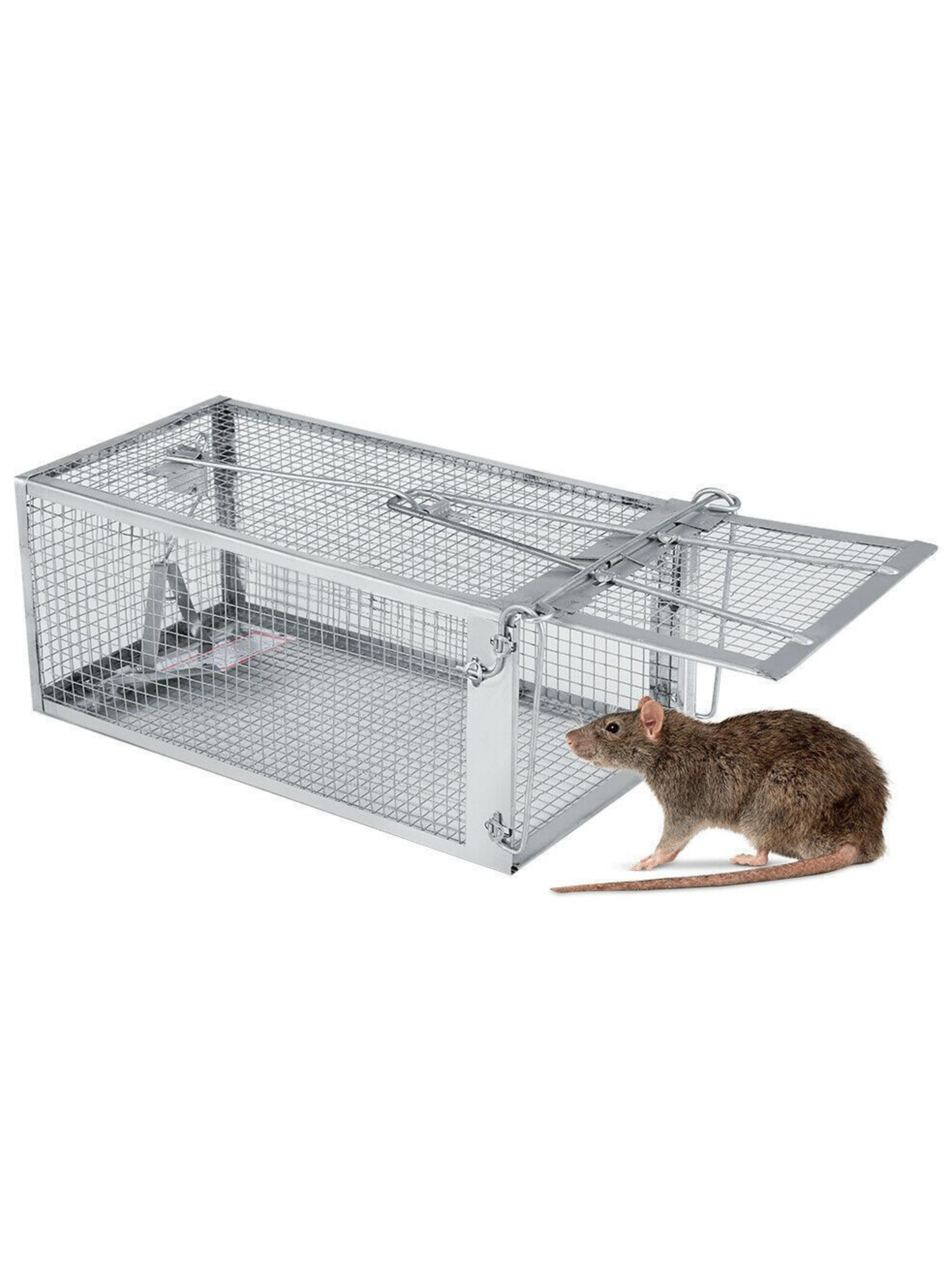 Mouse Trap